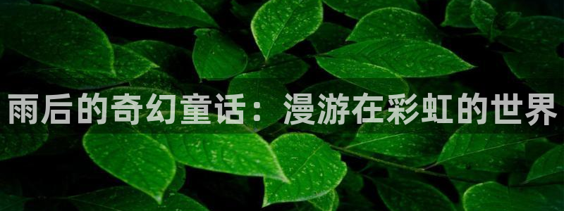 无删减51漫画在线看