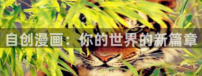 51漫画在哪里看最好漫画：自创漫画：你的世界的新篇章