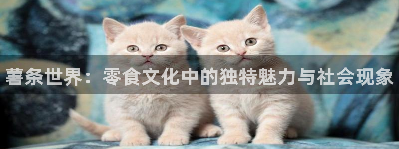 日51漫画画无删减免费版：薯条世界：零食文化中的独特魅力与社会现象